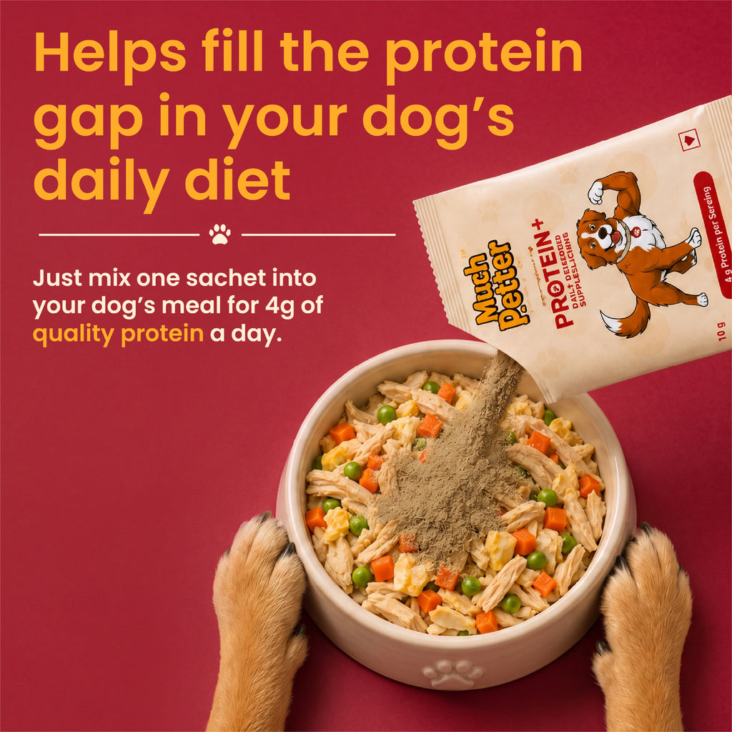 Protein+