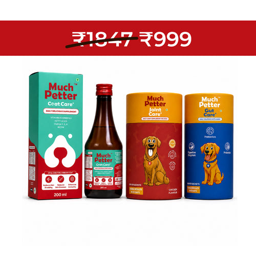 Head to Paw Trio Pack - CoatCare+, GutCare+ & JointCare+