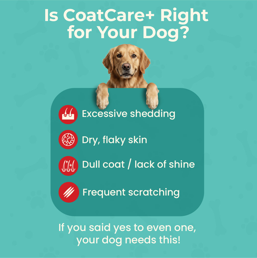 CoatCare+