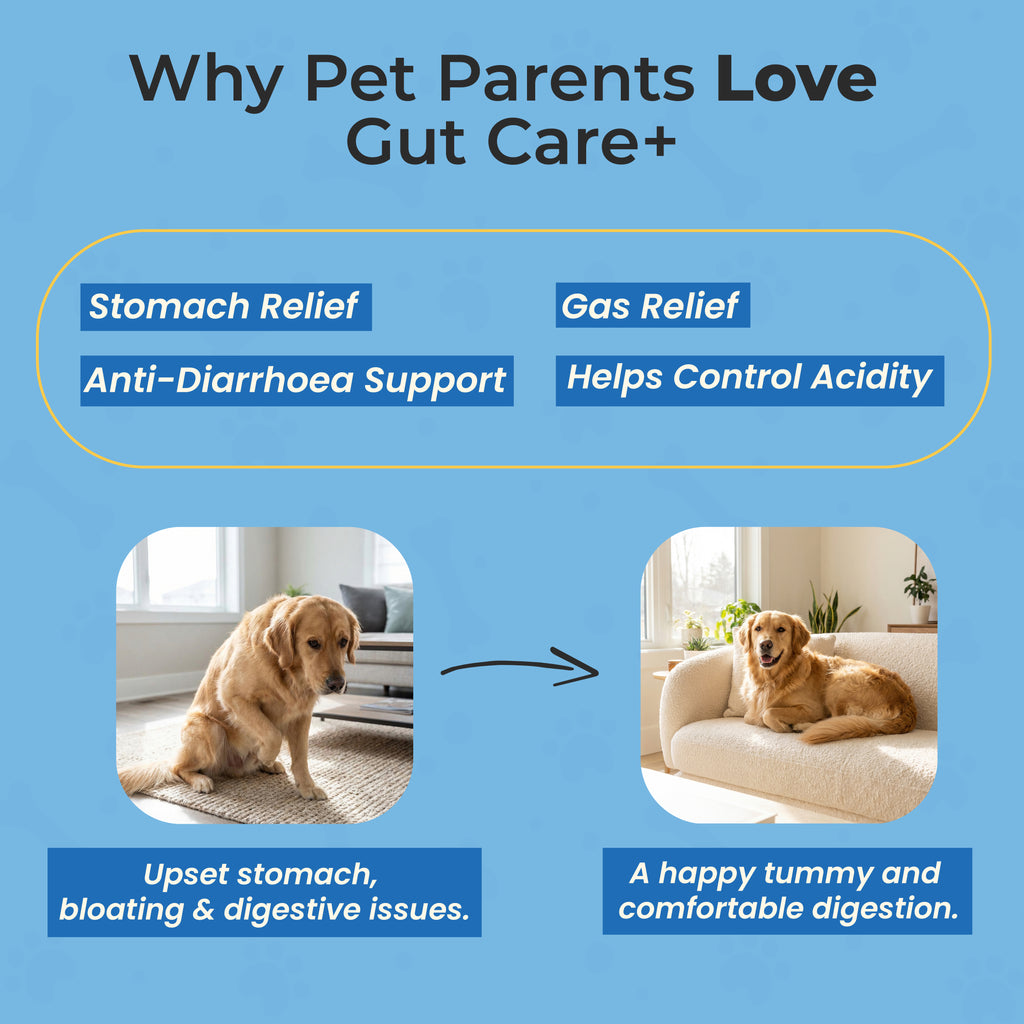 GutCare+
