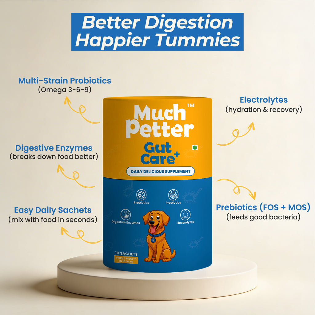 GutCare+