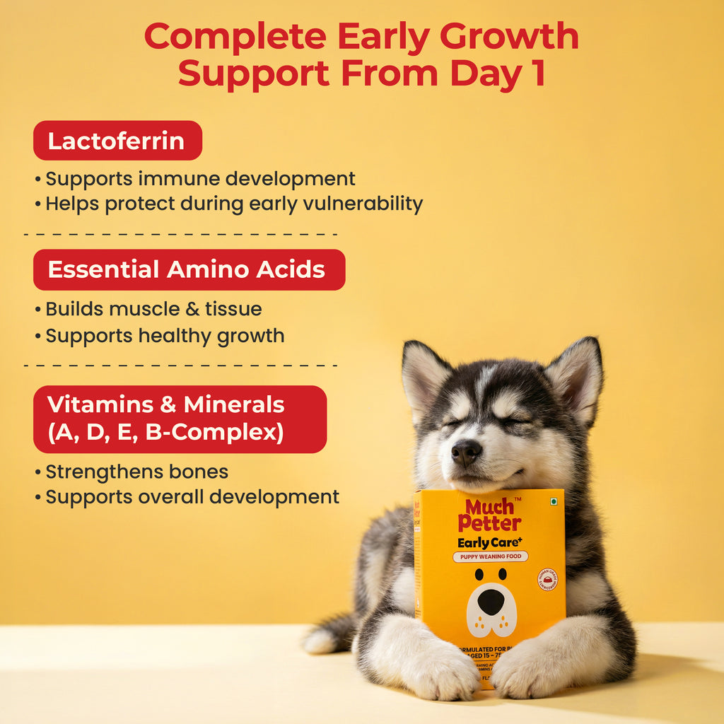 EarlyCare+