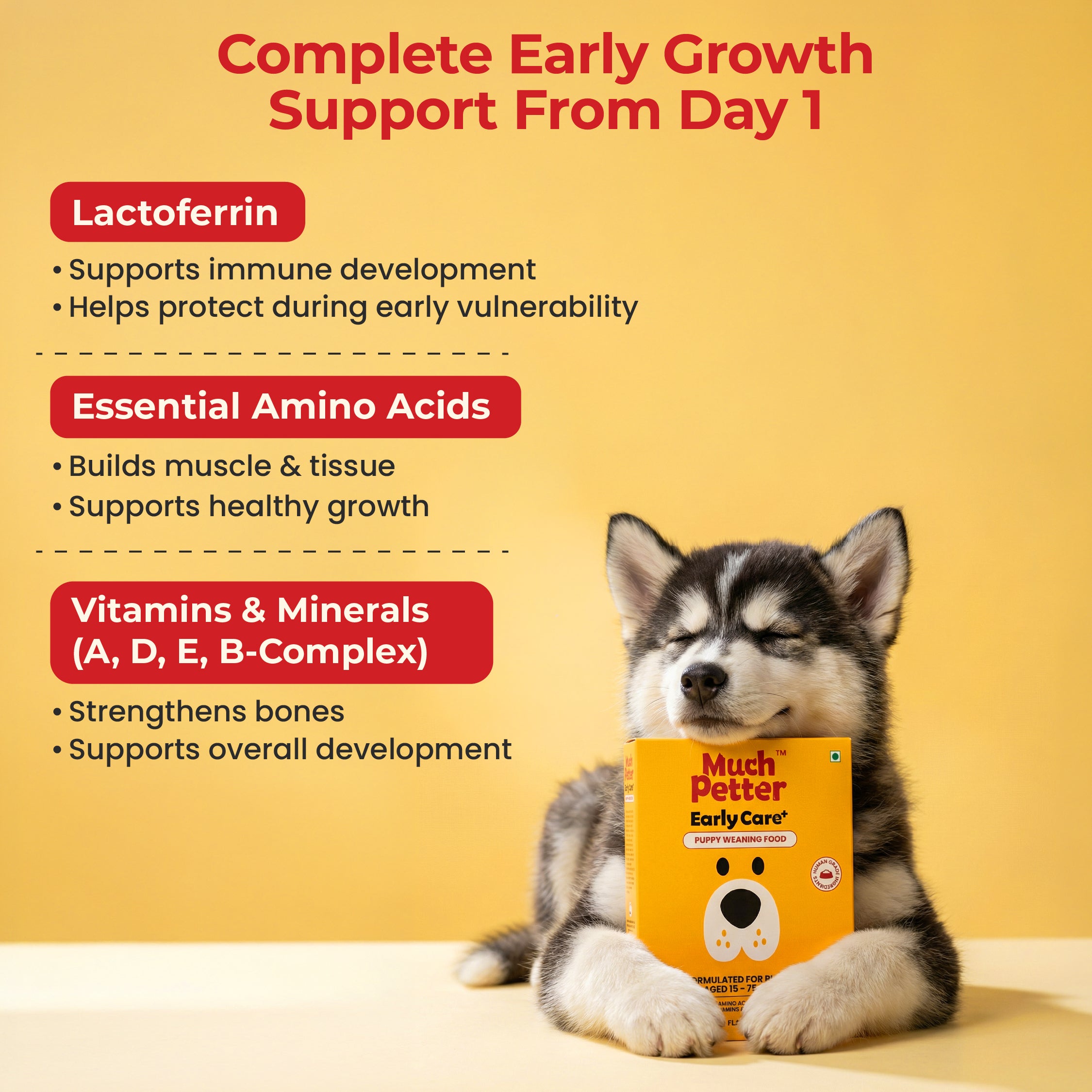EarlyCare+