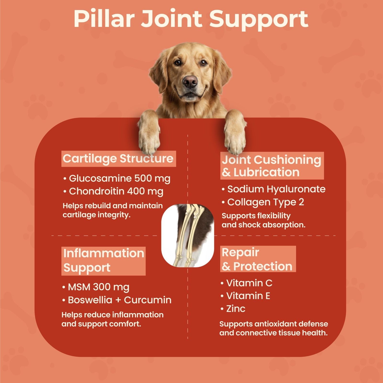 Head to Paw Trio Pack - CoatCare+, GutCare+ & JointCare+