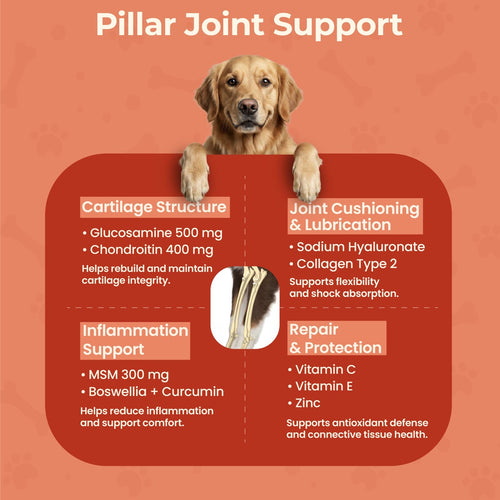 Combo 3 - CoatCare+ & JointCare+