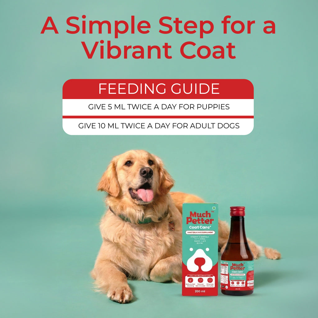 CoatCare+
