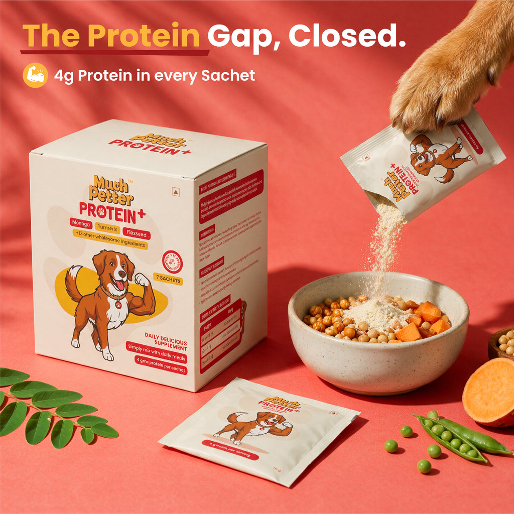 Protein+